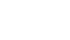 logo-fibicc